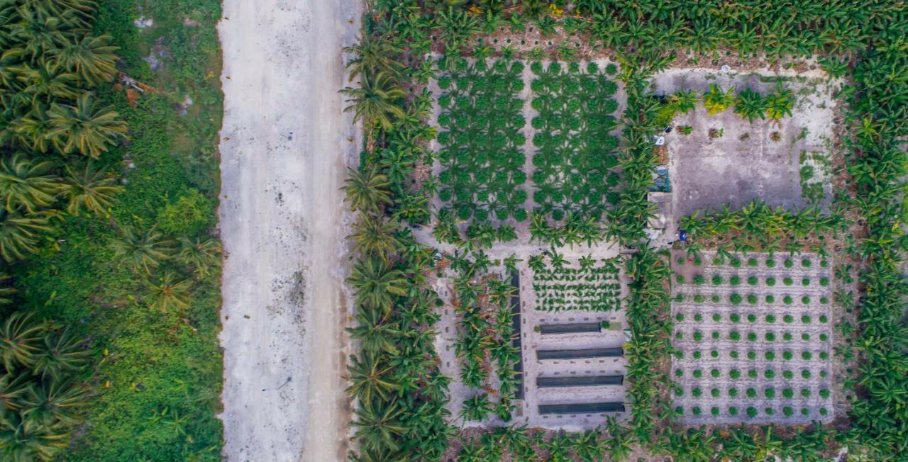 Sunview Residence Kaashidhoo Zewnętrze zdjęcie
