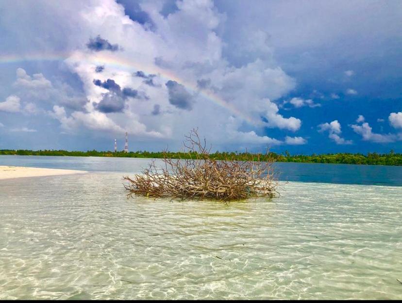 Sunview Residence Kaashidhoo Zewnętrze zdjęcie