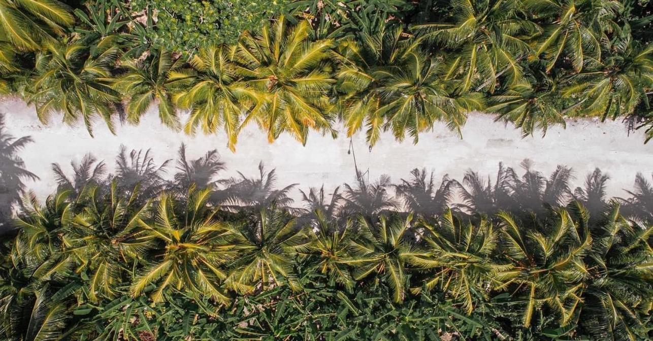Sunview Residence Kaashidhoo Zewnętrze zdjęcie